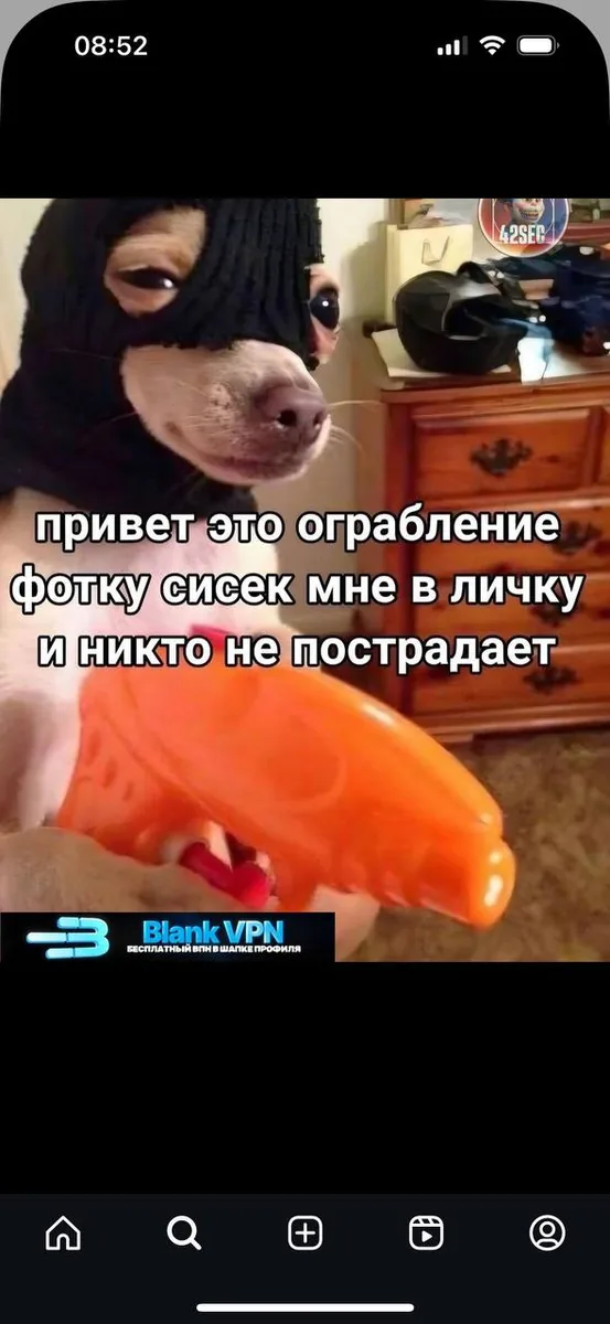 Мем с собакой-грабителем